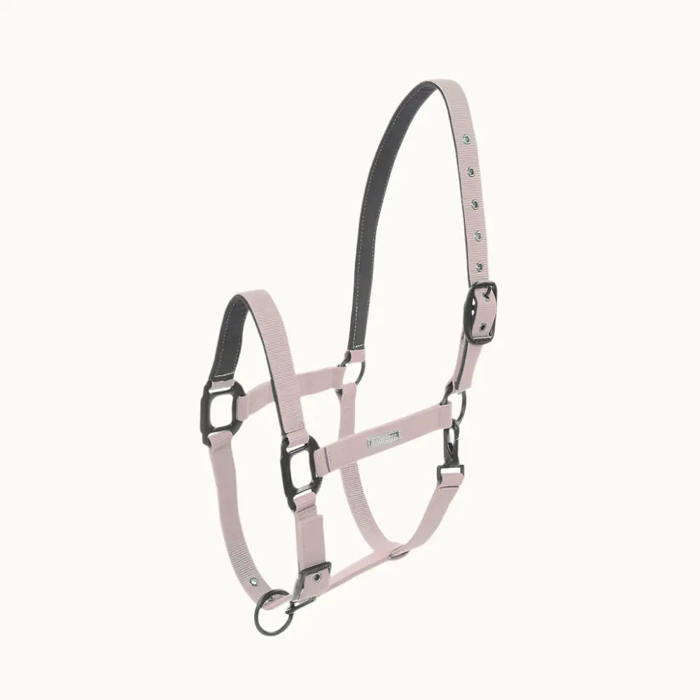 Halter Midnight Lamicell - Nellas Horsewear