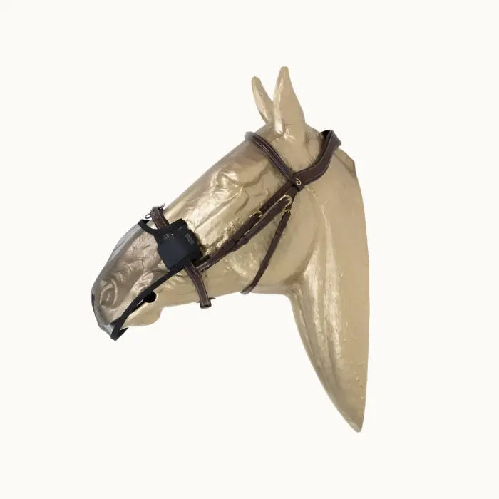 Ochranná sieťka na nos proti hmyzu | Kentucky Horsewear