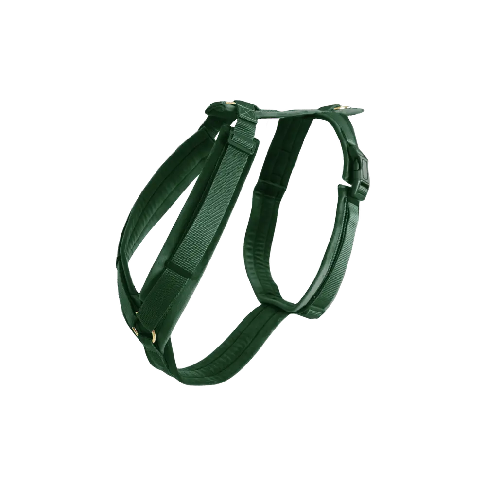 Postroj pre psa Active Velvet | Kentucky Horsewear