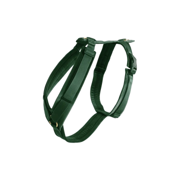 Postroj pre psa Active Velvet | Kentucky Horsewear