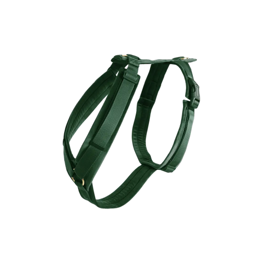 Postroj pre psa Active Velvet | Kentucky Horsewear