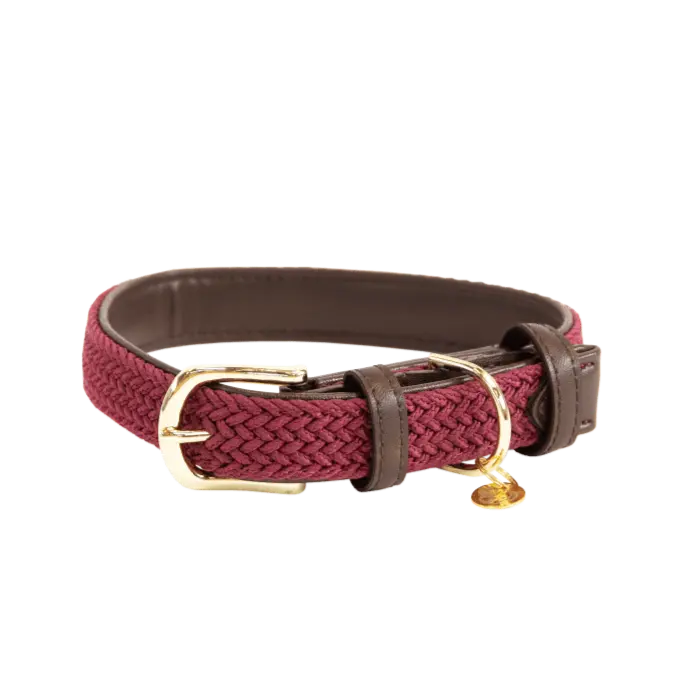 Pletený obojok pre psa Plaited Nylon | Kentucky Horsewear