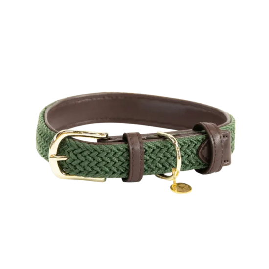 Plaited Nylon Dog Collar Kentucky Kentucky