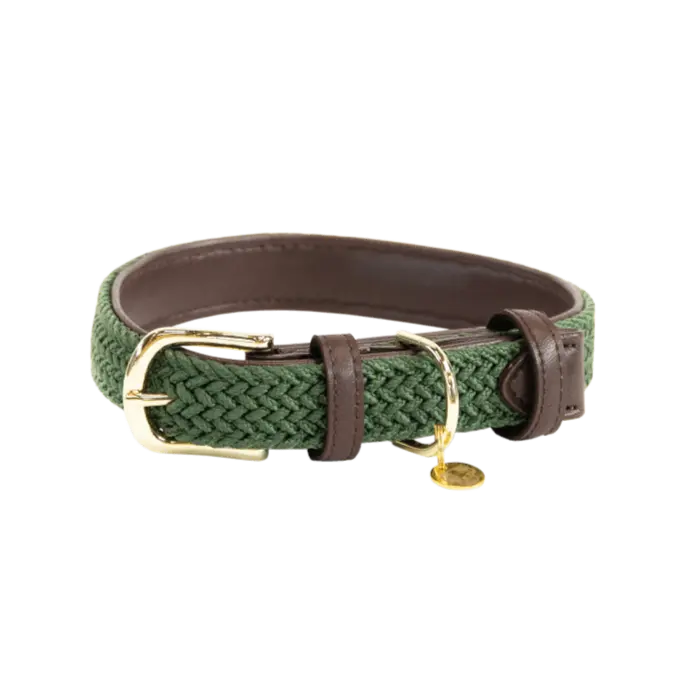 Plaited Nylon Dog Collar Kentucky Kentucky