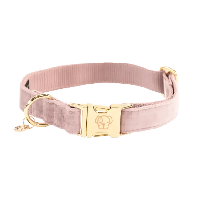 Zamatový obojok pre psa Velvet | Kentucky Horsewear