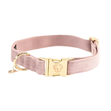 Zamatový obojok pre psa Velvet | Kentucky Horsewear