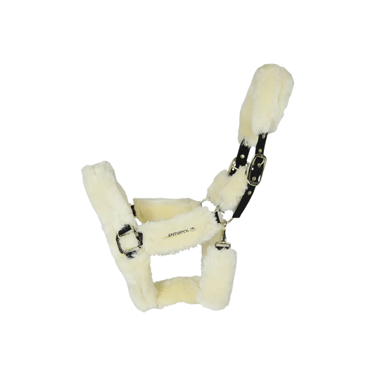 Prepravná ohlávka s ovčou vlnou Sheepskin Shipping | Kentucky Horsewear