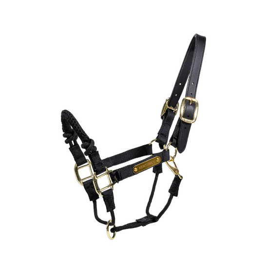 Kontrolná ohlávka Control | Kentucky Horsewear