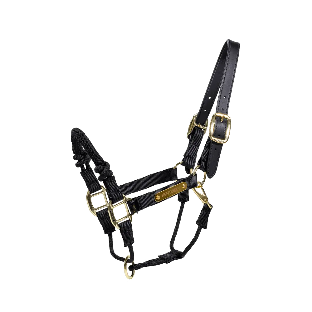 Kontrolná ohlávka Control | Kentucky Horsewear