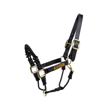 Kontrolná ohlávka Control | Kentucky Horsewear
