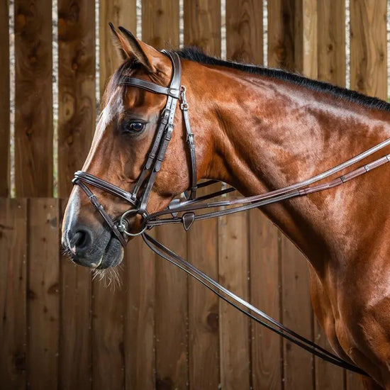 Pomocné opraty Hunter 1/2 Hunter Draw Reins 1/2 | Dyon