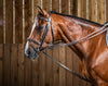 Pomocné opraty Hunter 1/2 Hunter Draw Reins 1/2 | Dyon