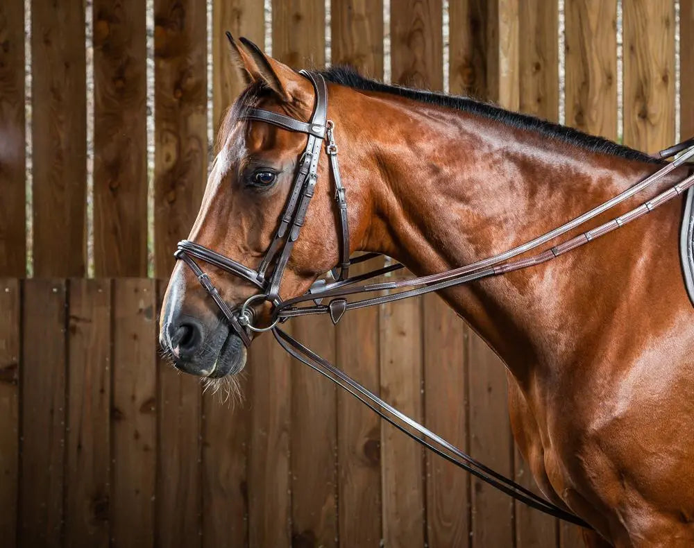 Pomocné opraty Hunter 1/2 Hunter Draw Reins 1/2 | Dyon