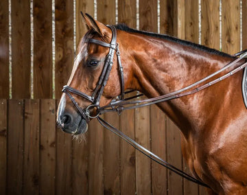 Pomocné opraty Hunter 1/2 Hunter Draw Reins 1/2 | Dyon