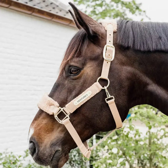 Ohlávka s Teddy Fleecom Teddy Fleece | Kentucky Horsewear