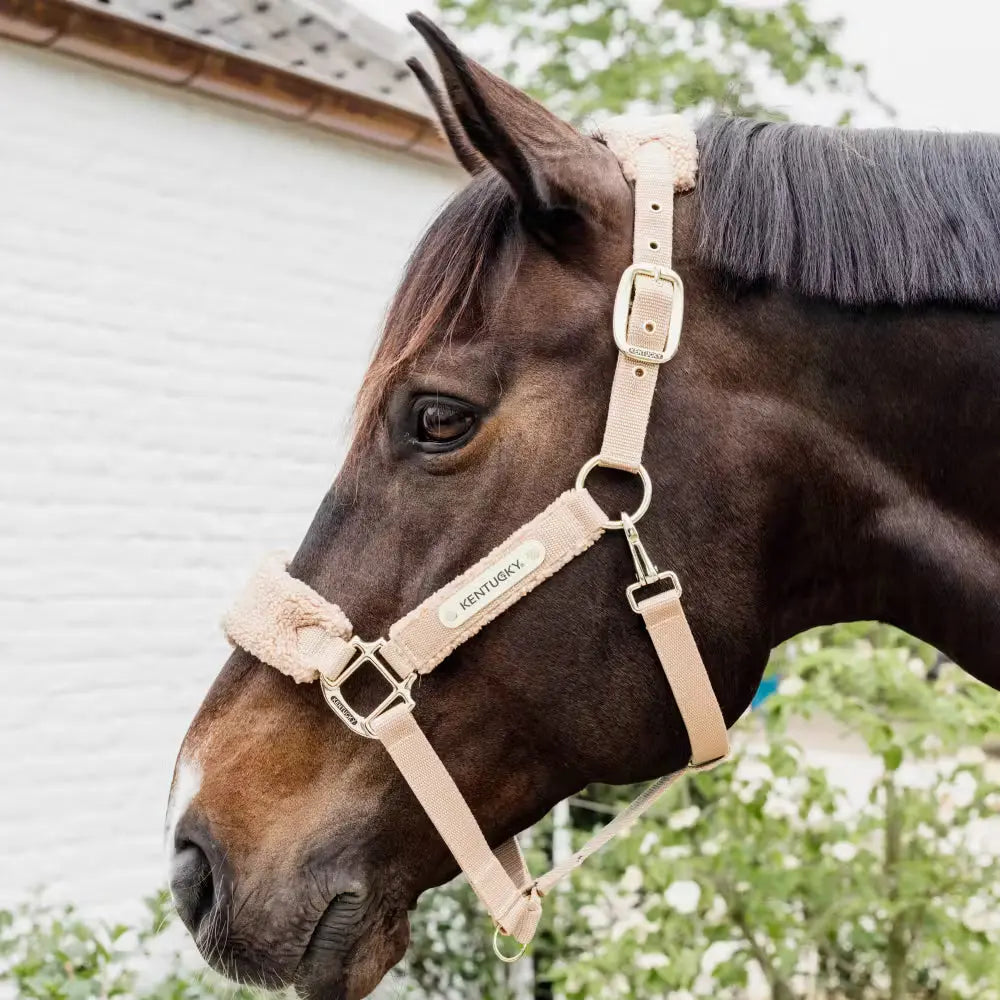Ohlávka s Teddy Fleecom Teddy Fleece | Kentucky Horsewear