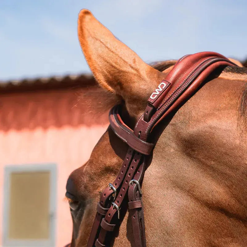Anatomic French Noseband Horse Bridle with Fancy Stitching CWD CWD