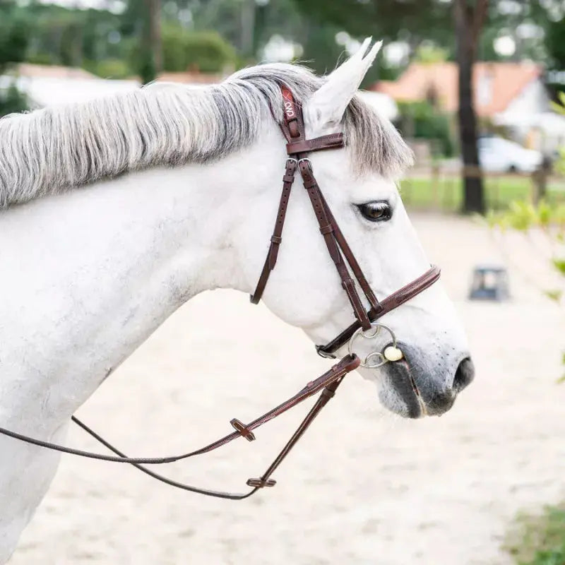Anatomic French Noseband Horse Bridle with Fancy Stitching CWD CWD