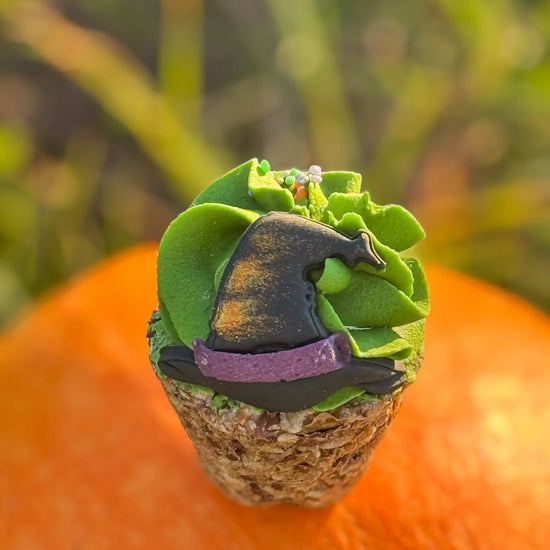Horse Cupcakes Witch’s Hat - Halloween