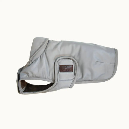 Reflexný kabátik pre psa Water Repellent s krytom brucha | Kentucky Dogwear