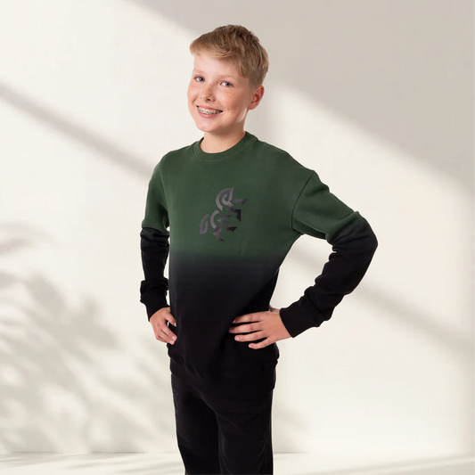 Unisex Ombrey Sweatshirt Horse Portal
