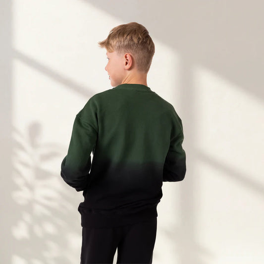 Unisex Ombrey Sweatshirt Horse Portal