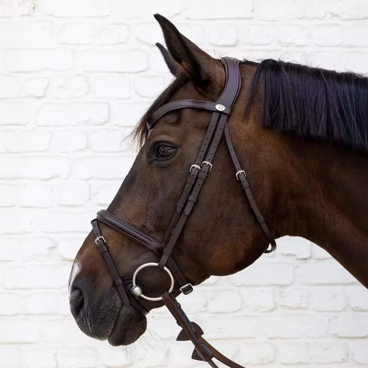 Flash Noseband Soft Leather Bridle Dyon - Nellas Horsewear