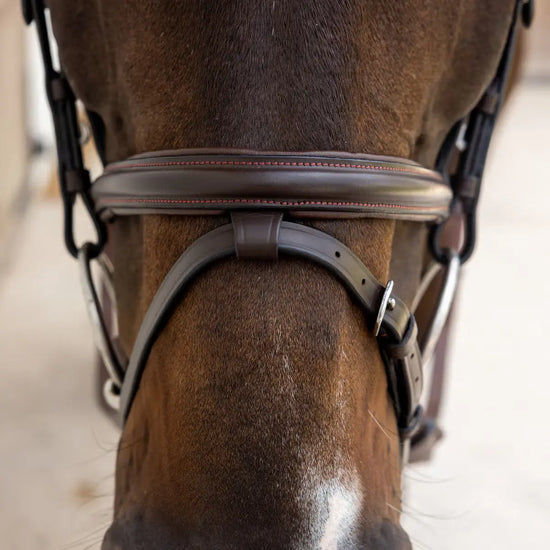 Flash Noseband Soft Leather Bridle Dyon - Nellas Horsewear