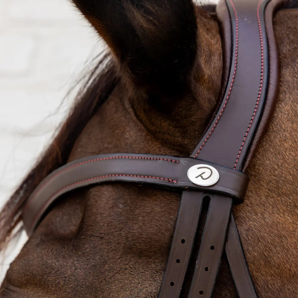 Flash Noseband Soft Leather Bridle Dyon - Nellas Horsewear