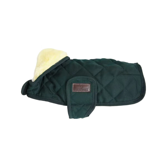 Dog Coat Original Kentucky Kentucky