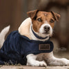 Dog Coat Original Kentucky Kentucky