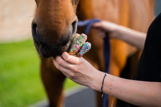Banánové pamlsky-lízatka pre kone | Konska Cukierenka