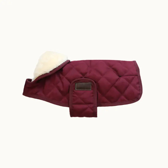 Kabátik pre psa Original | Kentucky Dogwear