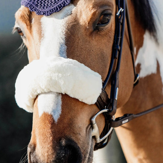 Ovčí kryt nánosníku uzdečky Sheepskin Noseband Cover | Kentucky