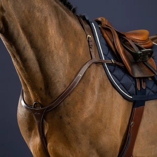 Long Bridge Breastplate Dyon - Nellas Horsewear