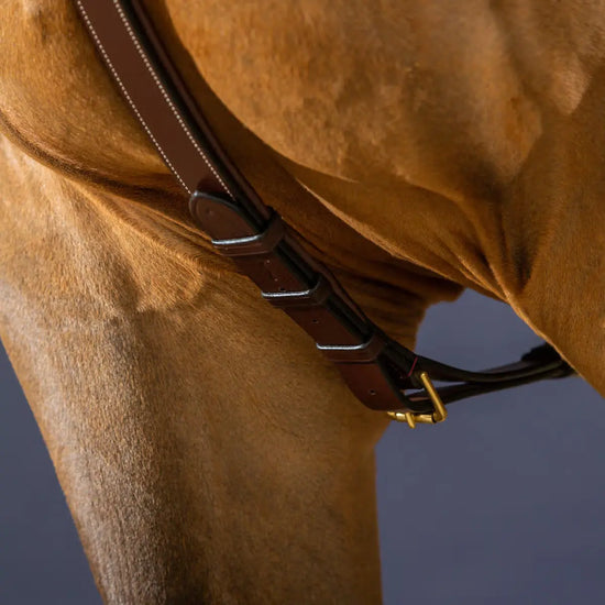 Long Bridge Breastplate Dyon - Nellas Horsewear