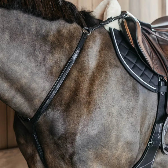 Plaited Bridge Breastplate Dyon - Nellas Horsewear