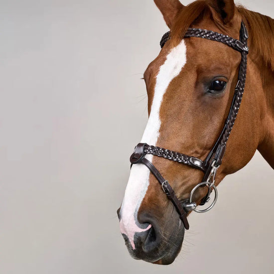 Plaited Training Bridle Dy’on - Nellas Horsewear