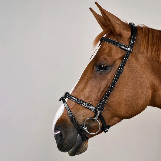 Plaited Training Bridle Dy’on - Nellas Horsewear