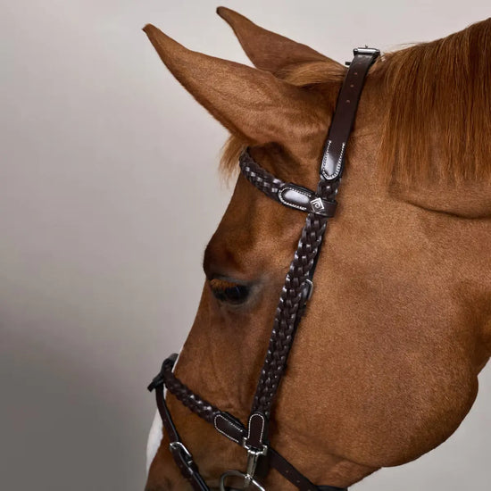 Plaited Training Bridle Dy’on - Nellas Horsewear