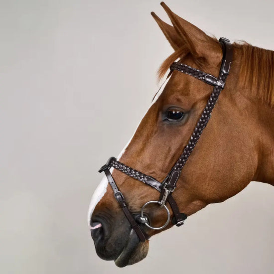 Plaited Training Bridle Dy’on - Nellas Horsewear