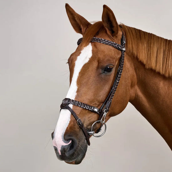 Plaited Training Bridle Dy’on - Nellas Horsewear