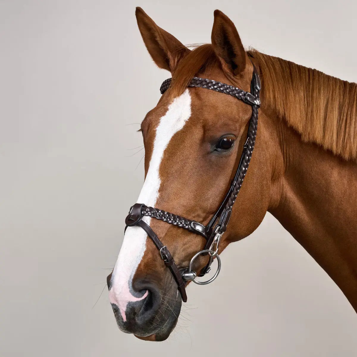 Plaited Training Bridle Dy’on - Nellas Horsewear