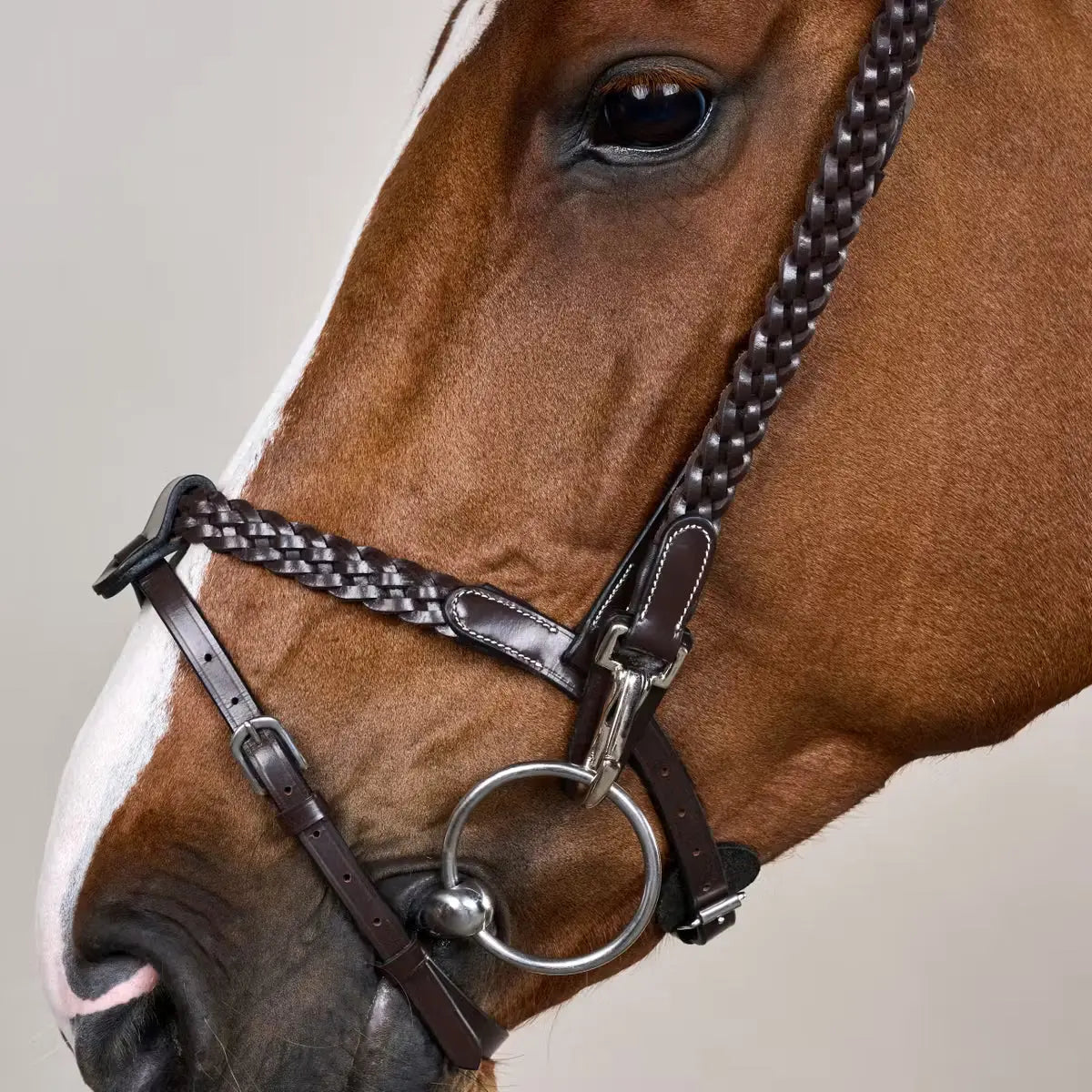 Plaited Training Bridle Dy’on - Nellas Horsewear