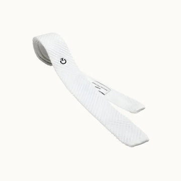 Tricot Tie With Tie Pin Cavalleria Toscana - Nellas Horsewear