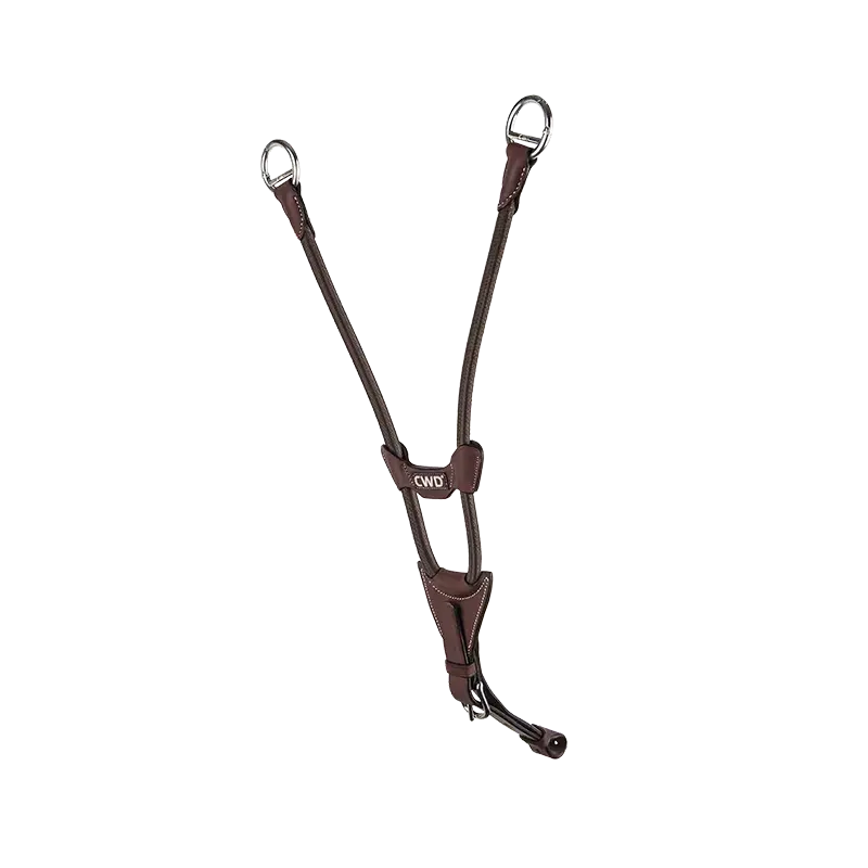 Raised Elastic Martingale Attachment CWD