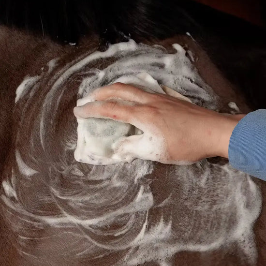 Shampoo Bar Grooming Deluxe GDLX