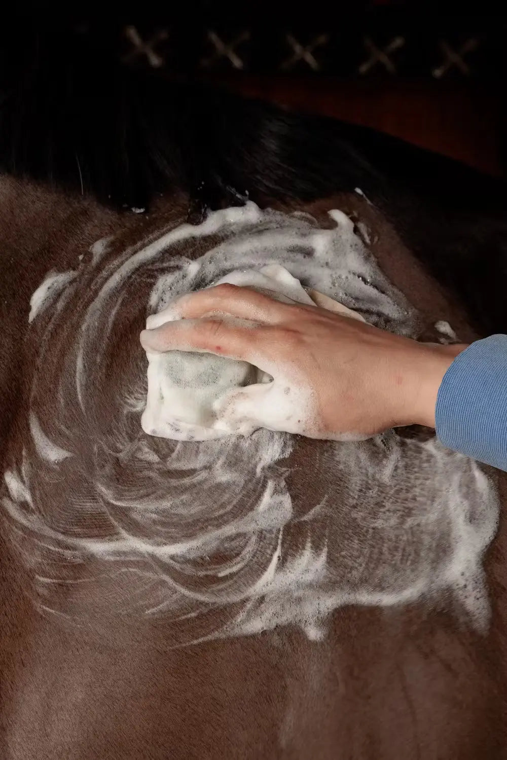 Shampoo Bar Grooming Deluxe GDLX