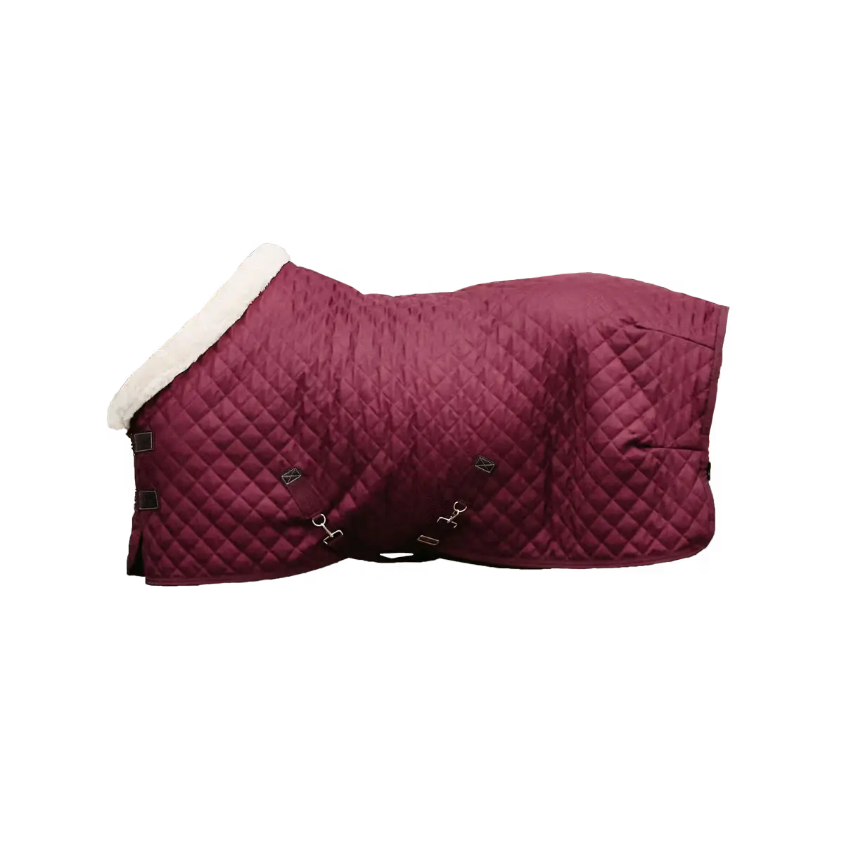 Show Rug 160g Kentucky horsewear - Nellas Horsewear