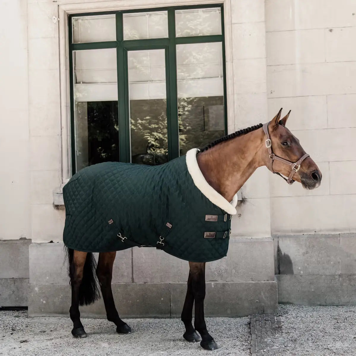 Show Rug 160g Kentucky horsewear - Nellas Horsewear